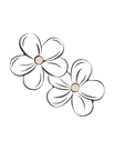 shape image