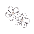 shape image