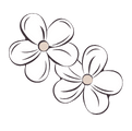 shape image